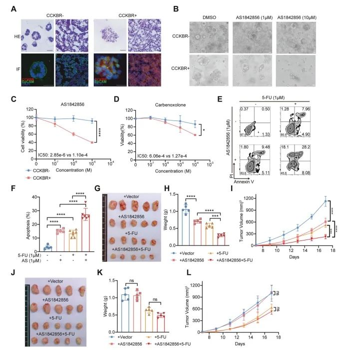 Insights_from_Single-Cell_Sequencing_08.png