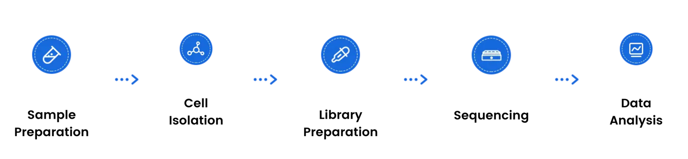 Sample_Preparation_Guide_for_Visium_HD_Spatial_Transcriptomics_6.png