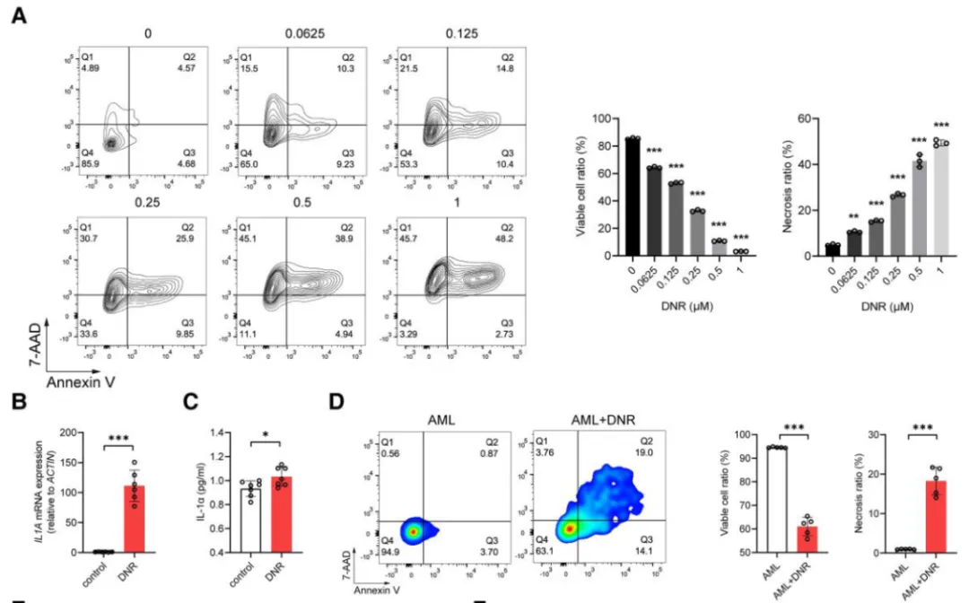 Figure_5._AML_cells_release_IL-1α.png
