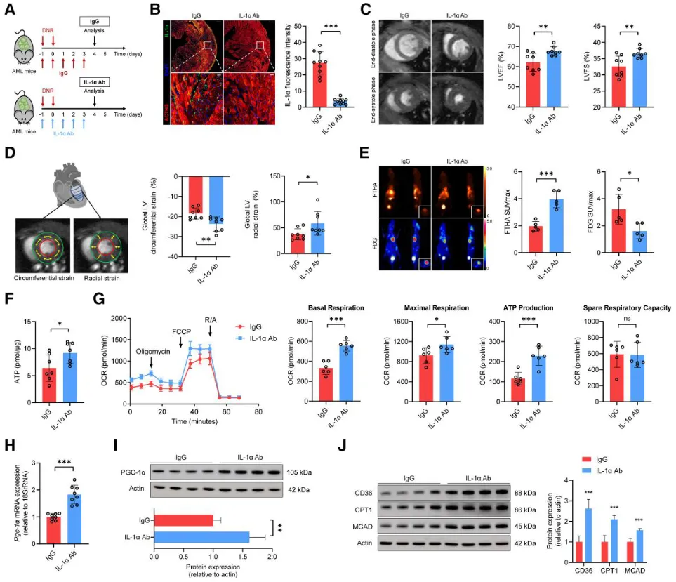 Figure_7._Anti–IL-1α_treatment_.png