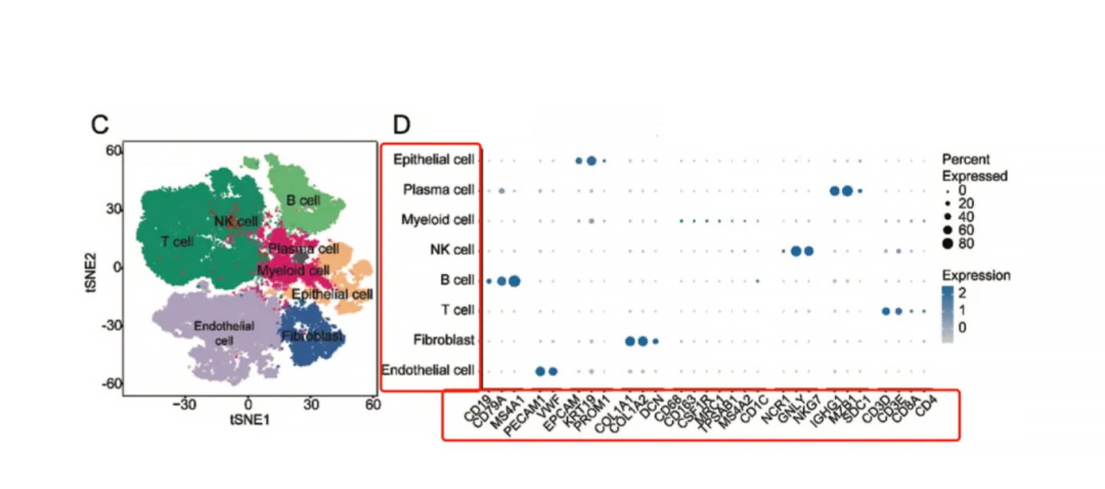 How to Interpret Key Figures in Single-Cell and Spatial Transcriptomics ...