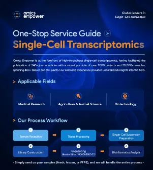 Omics Empower Single Cell sequencing Solution