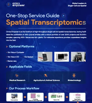 Omics Empower Spatial Transcriptomics Solution