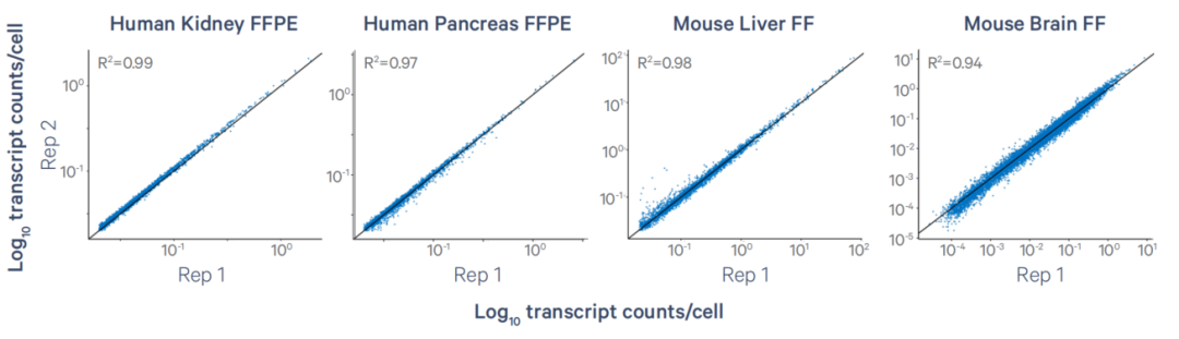 Figure_5._Xenium_5000_Panel_Performance_Across_Species.webp