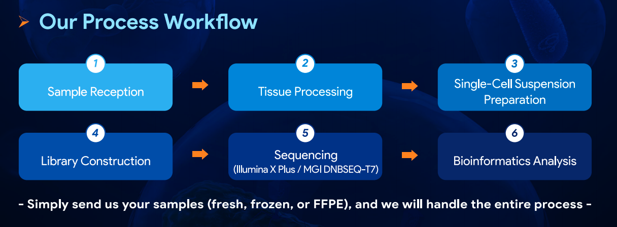 Omics_Empower_workflow.webp