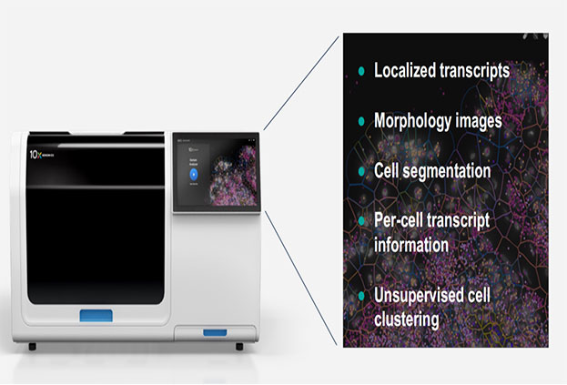 Overview-of-Xenium-In-Situ-Technology-1.webp