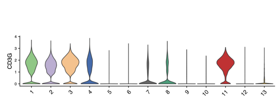 Violin_Plot___Box_Plot.webp