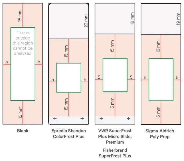 _Recommended_Slide_Types_and_Tissue_Placement_Areas_by_10x_Genomics.webp