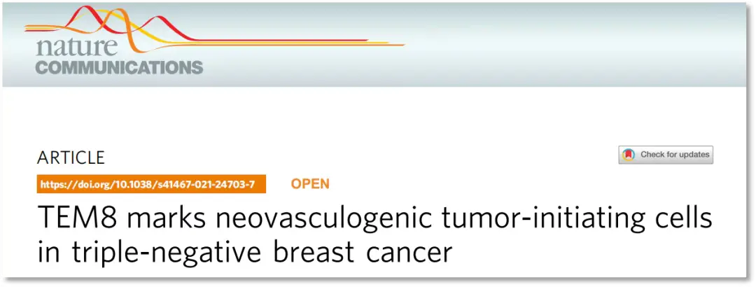 triple-negative_breast_cancer.webp