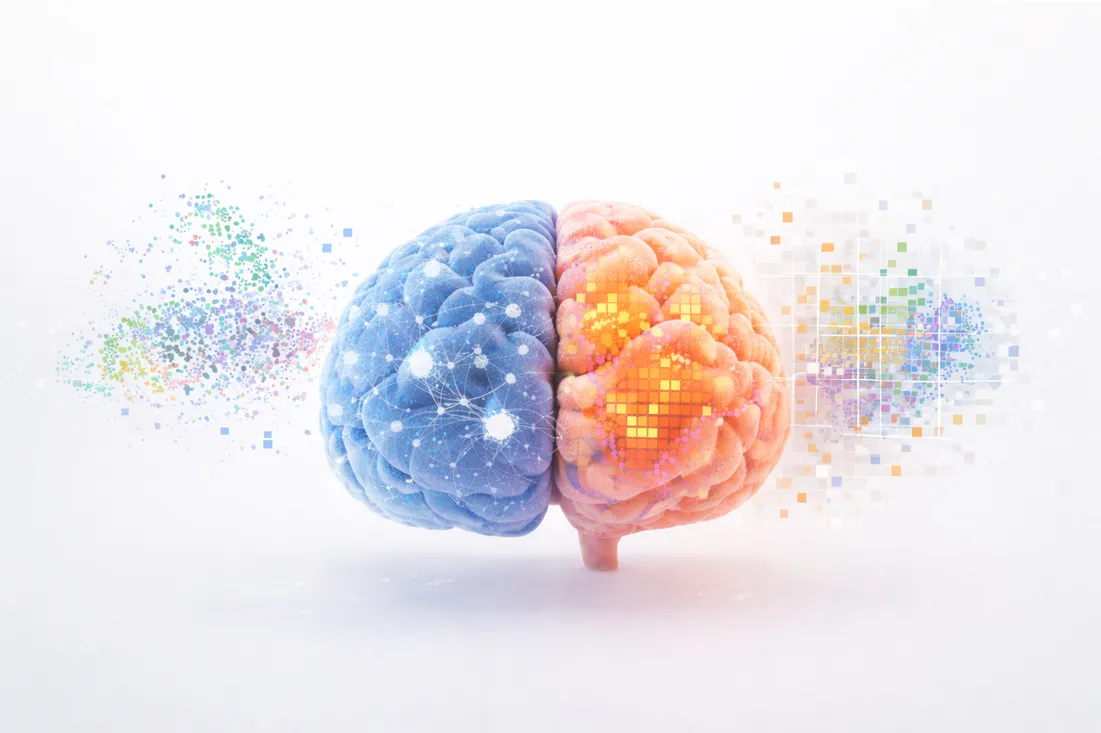 What Single-Cell and Spatial Transcriptomics Reveal in Brain Research: 4 Real Case Studies