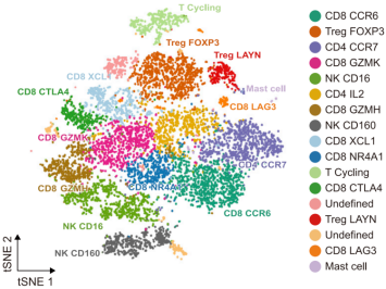 cell-subtype-naming-top-marker-genes-scrnaseq.webp cell-subtype-naming-top-marker-genes-scrnaseq.webp