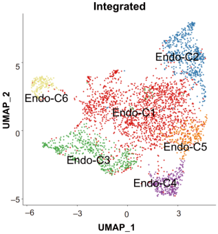 cluster-based-cell-subtype-annotation-scrnaseq.webp cluster-based-cell-subtype-annotation-scrnaseq.webp