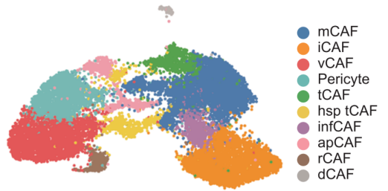 function-based-cell-subtype-classification-single-cell-spatial-omics.webp function-based-cell-subtype-classification-single-cell-spatial-omics.webp