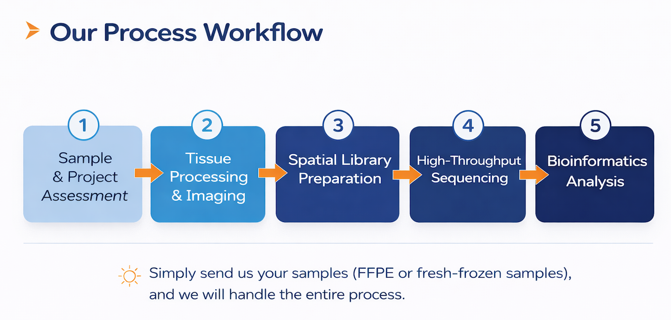 spatial-transcriptomics-service-workflow-omics-empower.webp