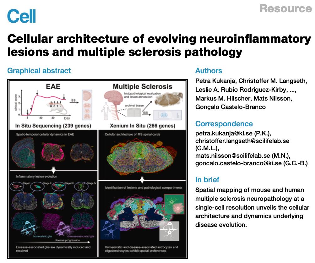cellular-architecture-of-evolving-neuroinflammatory-lesions-and-multiple-sclerosis-pathology.jpg