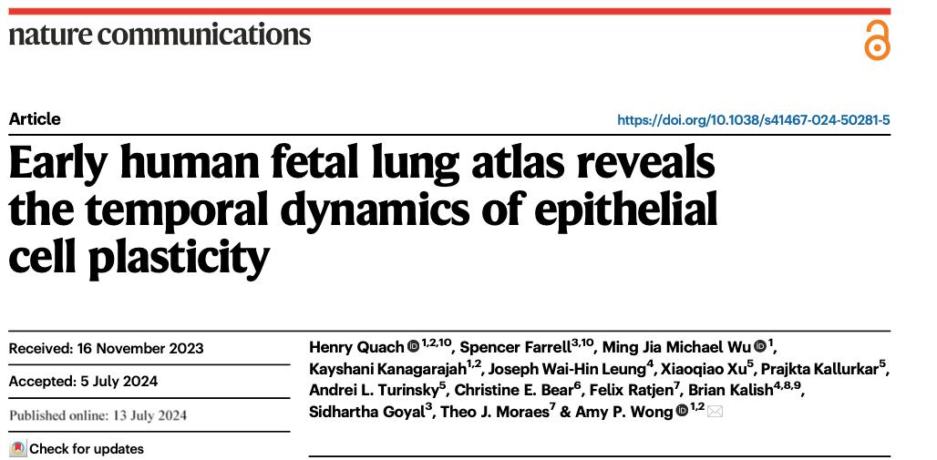 early-human-fetal-lung-atlas-reveals-the-temporal-dynamics-of-epithelial-cell-plasticity.jpg
