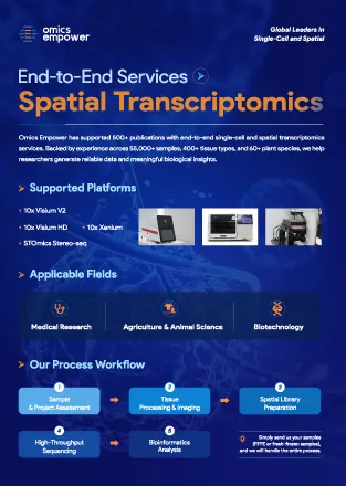 Omics Empower Spatial Transcriptomics Services