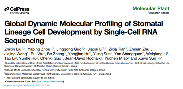 Stomatal_lineage_scRNA_seq_Molecular_Plant.webp Stomatal_lineage_scRNA_seq_Molecular_Plant.webp