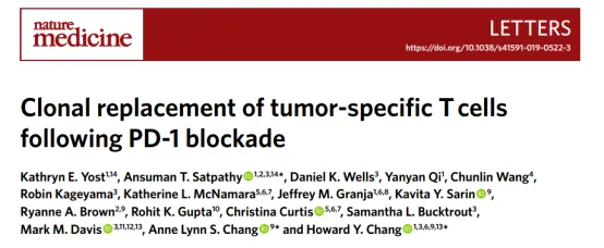 clonal-replacement-t-cells-pd1-blockade.webp