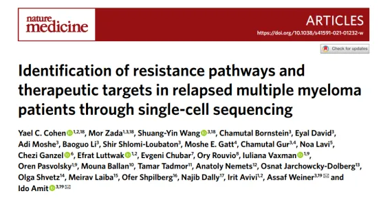 relapsed-multiple-myeloma-resistance-pathways-scrna.webp