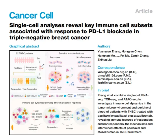 tnbc-pdl1-blockade-immune-subsets-scrna.webp