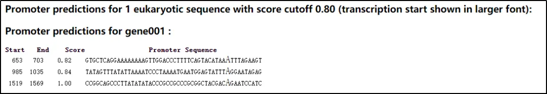 core-promoter-prediction-results.webp core-promoter-prediction-results.webp