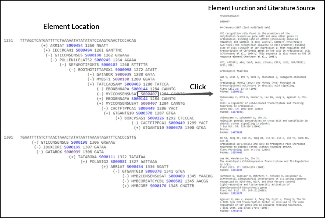 place-prediction-results-partial.webp place-prediction-results-partial.webp