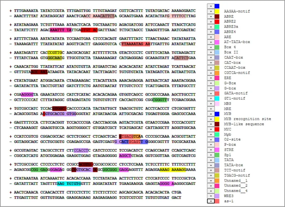 plantcare-prediction-results-partial1.webp plantcare-prediction-results-partial1.webp