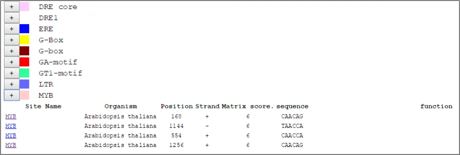 plantcare-predictionresultspartial2.webp plantcare-predictionresultspartial2.webp