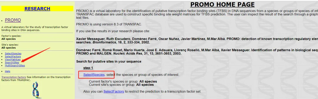 tf-binding-domain-predict-url.webp tf-binding-domain-predict-url.webp