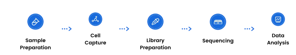 stereo-seq-large-format-spatial-transcriptomics.png