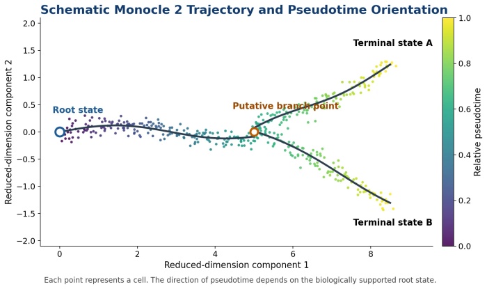 how-to-interpret-monocle-2-pseudotime-analysis001.jpg