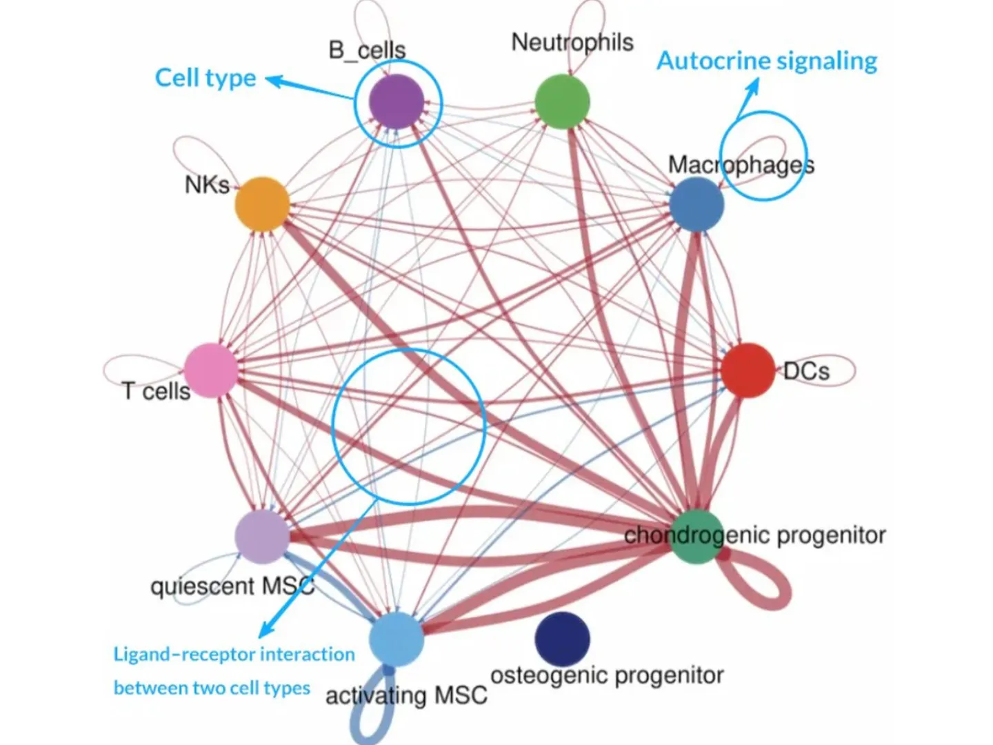 How to Interpret Cell-Cell Communication Networks in Single-Cell RNA-seq