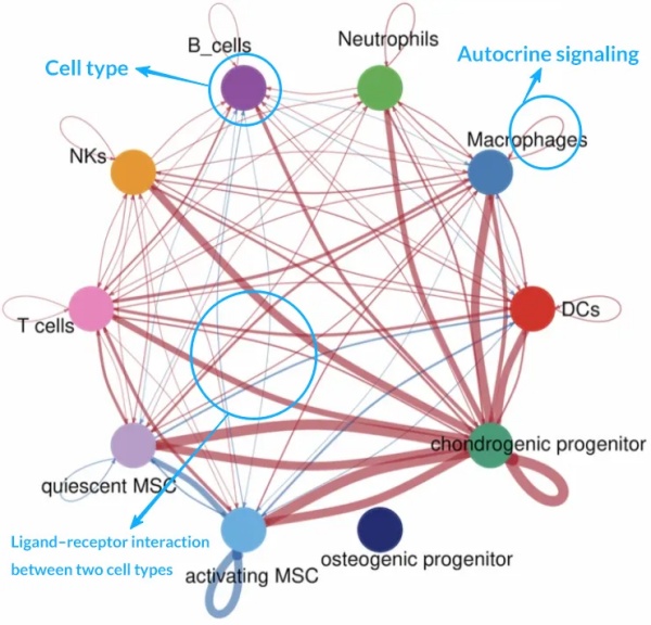 cell-cell-communication-single-cell-rna-seq01.jpg