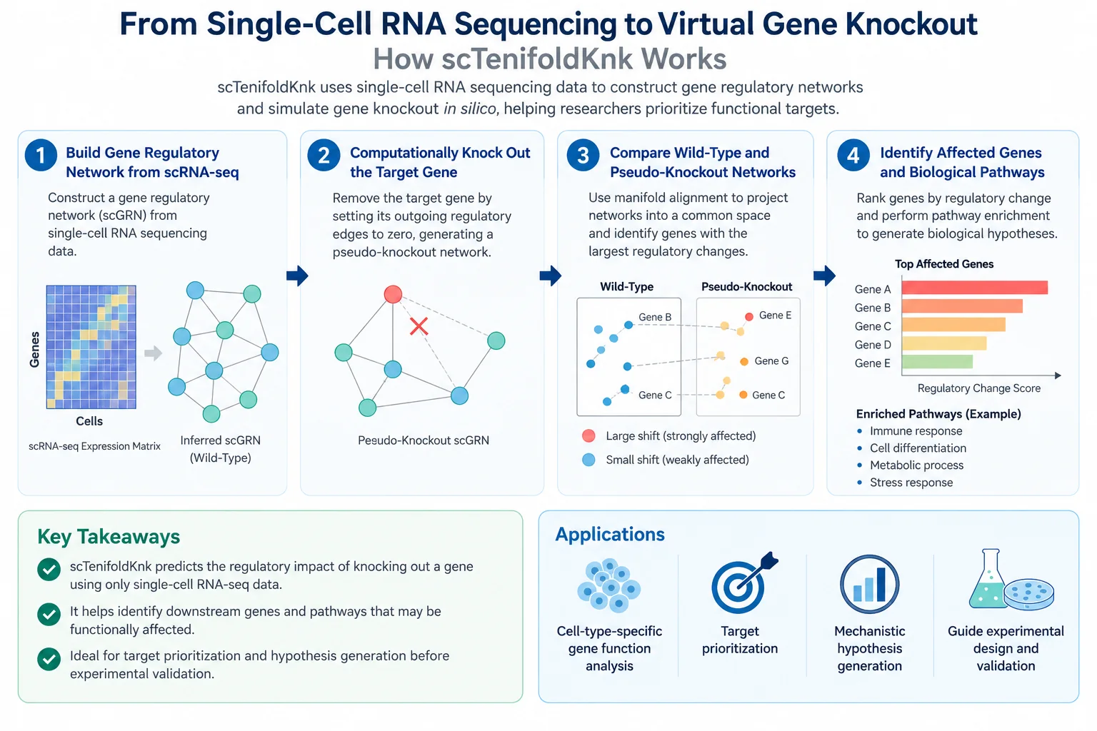 sctenifoldknk-virtual-gene-knockout-workflow.webp